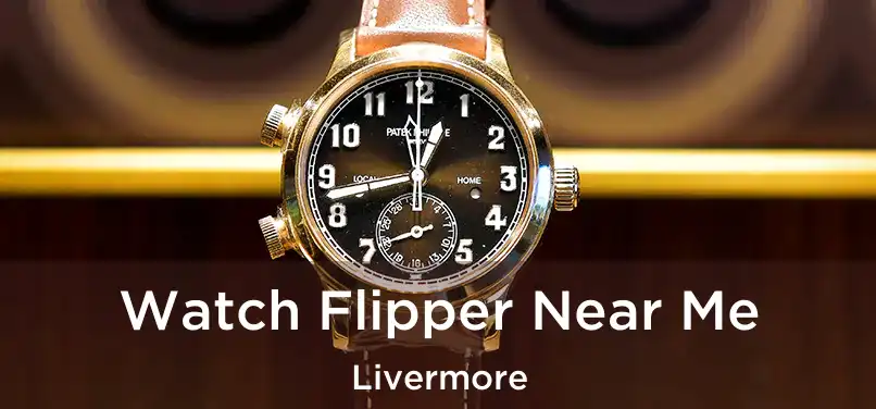 Watch Flipper Near Me Livermore